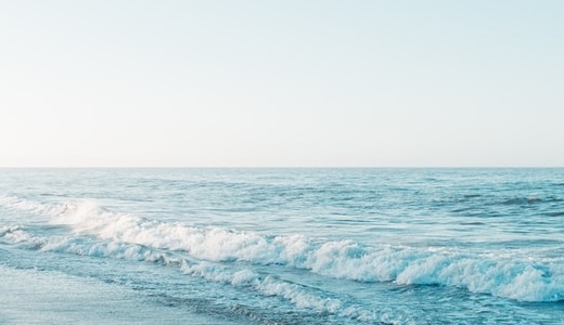 保護中: Next 3 pages are up! 【English Edition】